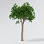 Bark-Wood-4K-Texture SR-X-010