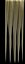 blondeHairTexture_020.tga
