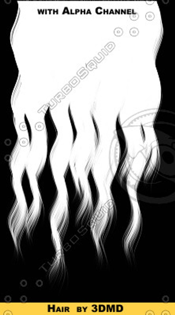  https://p.turbosquid.com/preview.turbosquid.com/Preview/Content_2010_12_09__13_07_49/brownHair_043.tga_thumbnail1W.jpg52516606-f110-4725-a92b-24e0c9943bceLarger/jpg/1197388328/1920x1080/fit_q87/2485ebc6f4227c918e3ff753c5f75f2af3a4be3f/brownHair_043.tga_thumbnail1W.jpg52516606-f110-4725-a92b-24e0c9943bceLarger.jpg
