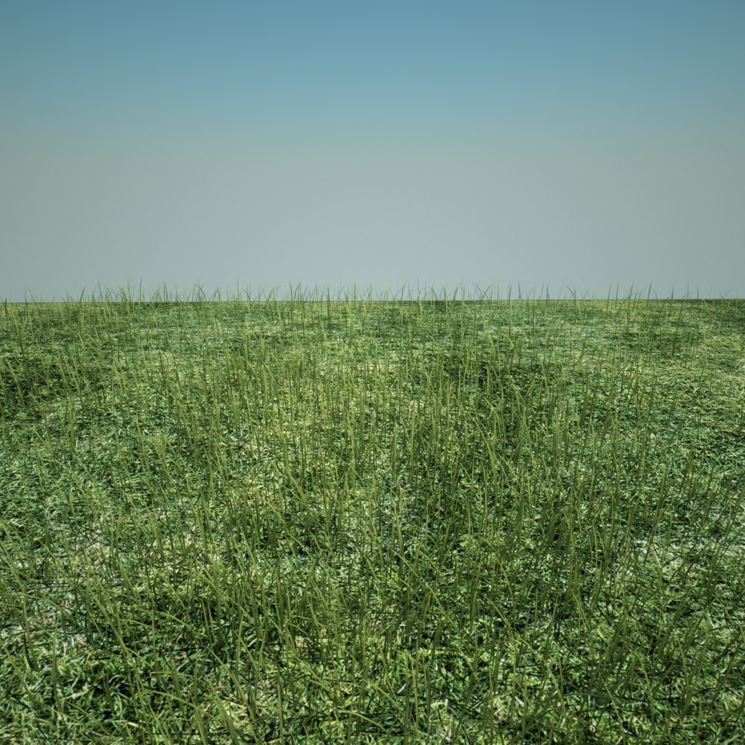 Max Grass Strands