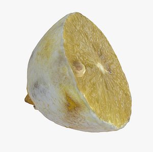 Dry Realistic Half Peeled Lemon