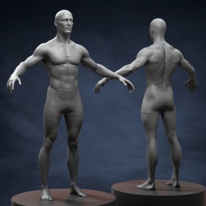 3D Athletic Man Body Basemesh