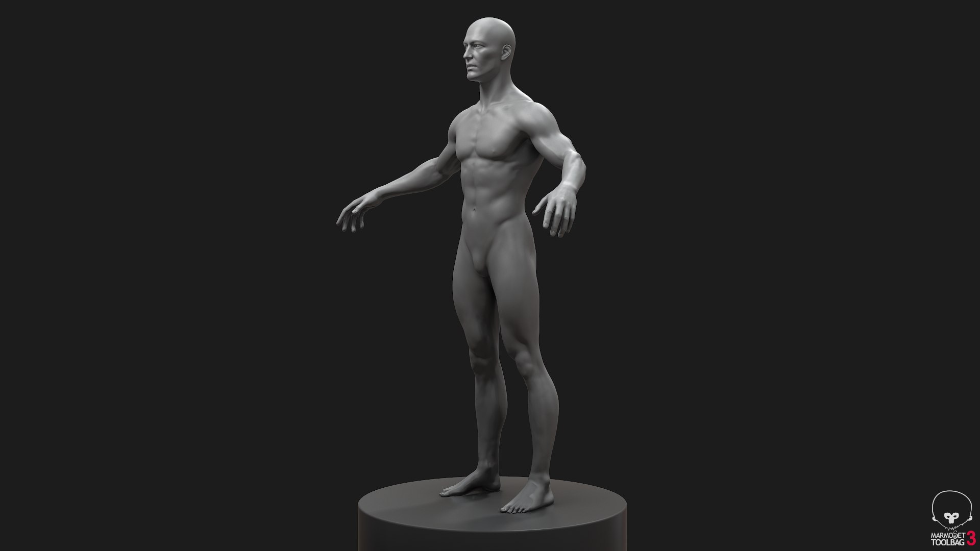 Human Athletic Male Body Base Mesh by RedaSaiko