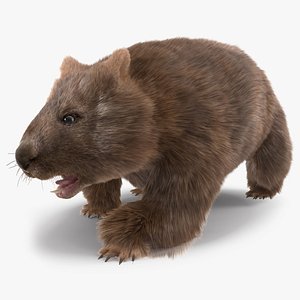 Brown Wombat Fur Rigged
