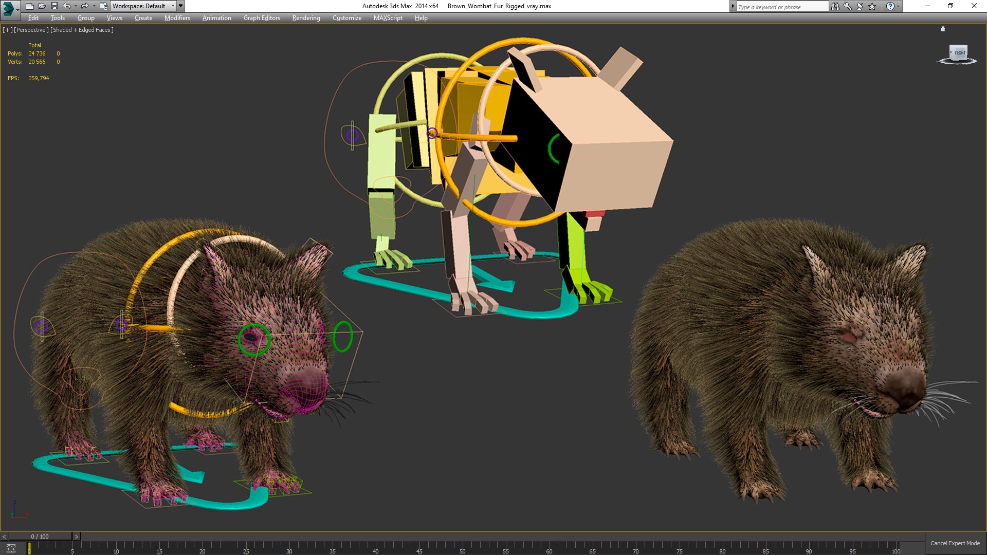 3D Model Brown Wombat Fur Rigged - TurboSquid 2099488