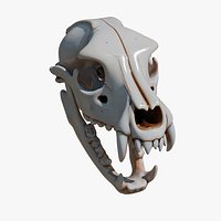 Realistic Dog Skull Model UV Unwrapped Single Mesh OBJ FBX
