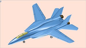 3D grumman f-14 fighter aircraft