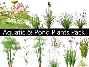 Aquatic Pond Plants Pack 09 3D model
