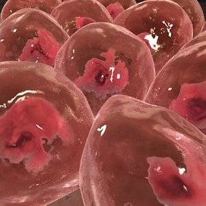 3d model of human skin cell