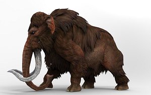 3D Mammoth 13 Animations model