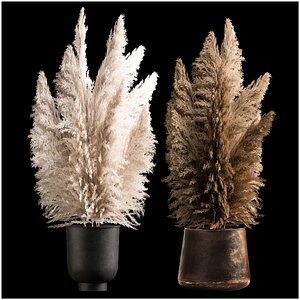3D Bouquet Of Dry Reeds In A Black Metal Pot 272