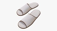 Slippes 01 a