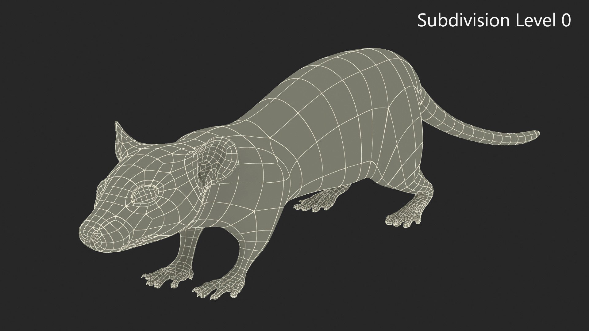 Common Rat With Fur Model - TurboSquid 2273630
