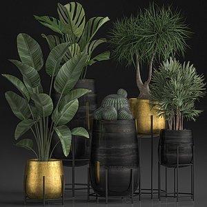 decorative plants pots interior 3D model