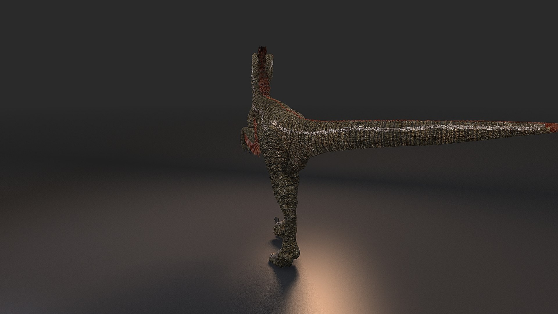 3d model feathered dinosaur https://p.turbosquid.com/ts-thumb/02/M0A0xw/0ywdAbKn/velociraptor_005/jpg/1480620928/1920x1080/fit_q87/68458ebae084be264c6e6c3c1c3125ae53757201/velociraptor_005.jpg