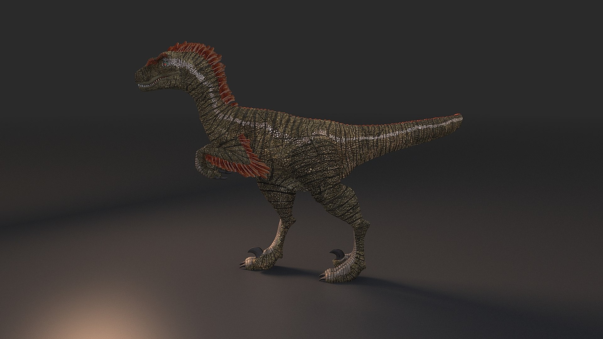 3d model feathered dinosaur https://p.turbosquid.com/ts-thumb/02/M0A0xw/2tV9FLx7/velociraptor_006/jpg/1480620933/1920x1080/fit_q87/34845daa1c47164ff8b8e5952b6f2b583a30b621/velociraptor_006.jpg