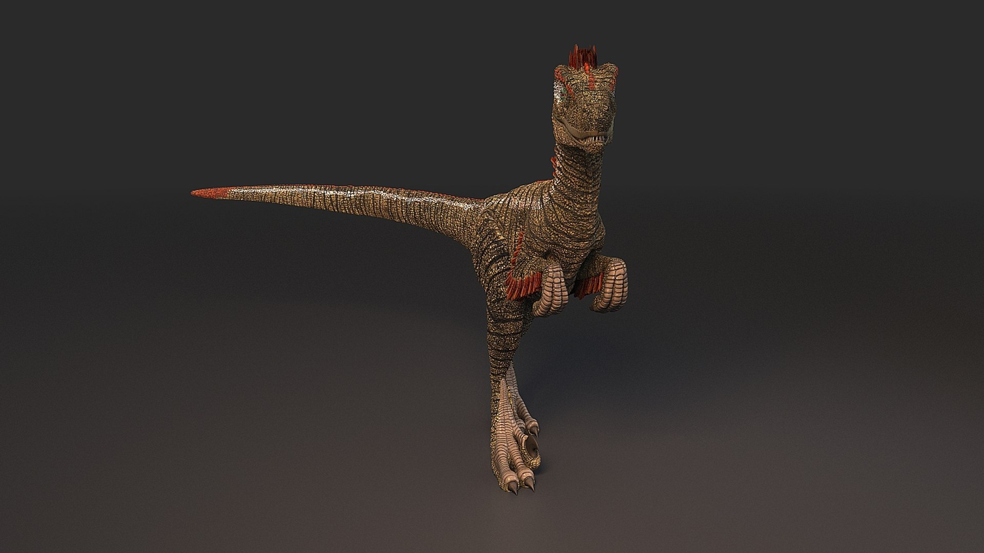 3d model feathered dinosaur https://p.turbosquid.com/ts-thumb/02/M0A0xw/CukNjmUe/velociraptor_007/jpg/1480620936/1920x1080/fit_q87/4cebdd6824741061936e9570c24df9153b3f9bd4/velociraptor_007.jpg