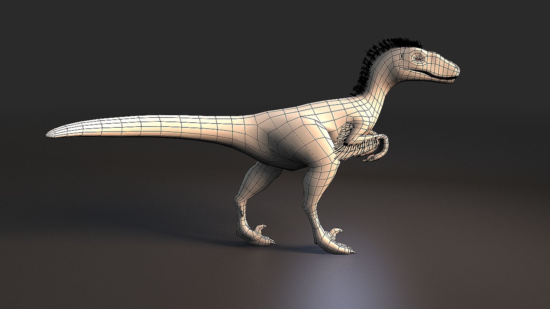 3d model feathered dinosaur https://p.turbosquid.com/ts-thumb/02/M0A0xw/QnPf6CUQ/velociraptor_008/jpg/1480620940/1920x1080/fit_q87/bcff03d5c52c2b26b2ee3b8680b94769c4d5ac5f/velociraptor_008.jpg