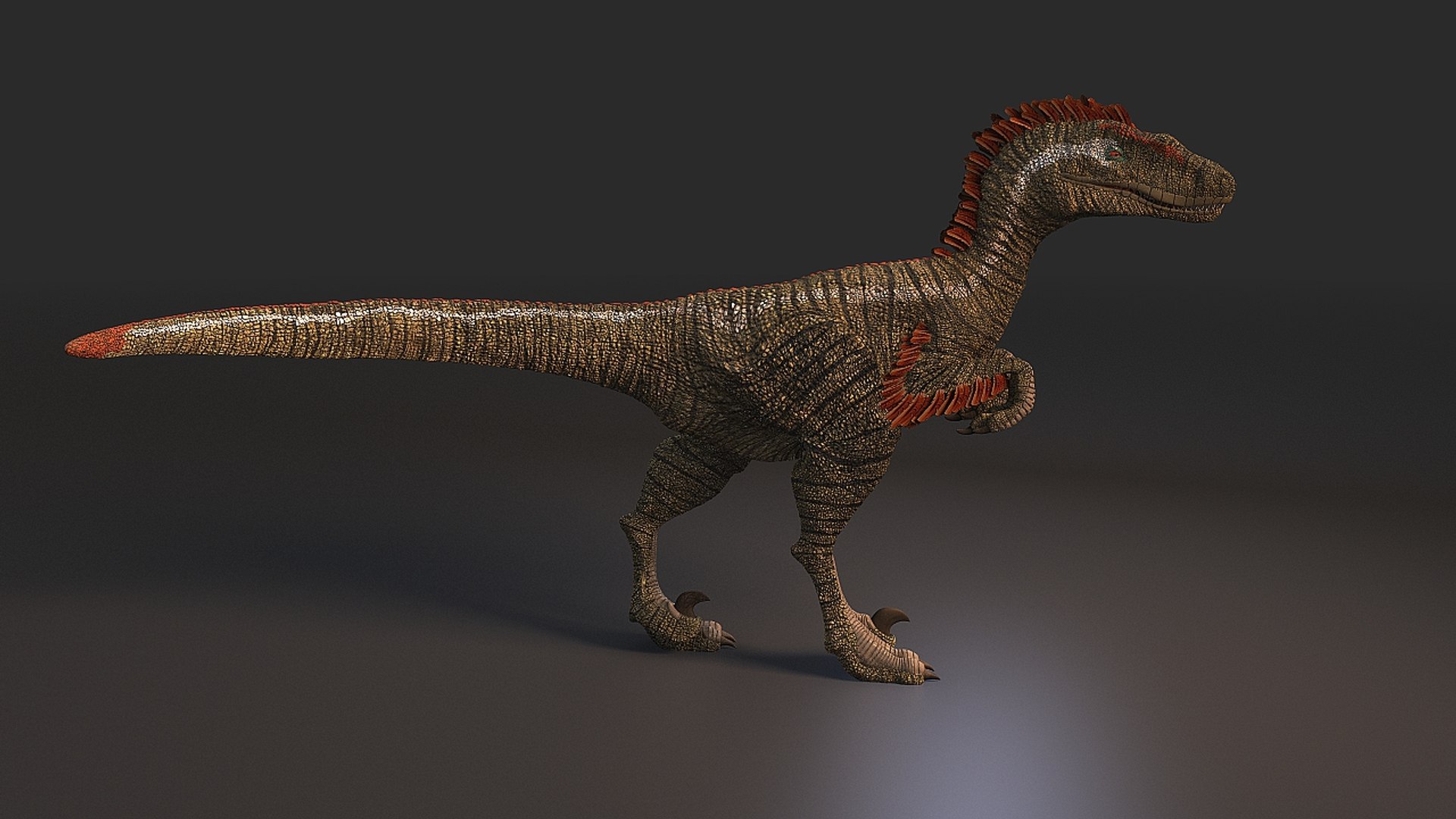 3d model feathered dinosaur https://p.turbosquid.com/ts-thumb/02/M0A0xw/oqe9Y9cB/velociraptor_003/jpg/1480620920/1920x1080/fit_q87/98c7da05289777b5158d246e47c5a3e930643d72/velociraptor_003.jpg