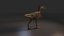 Feathered Dinosaur