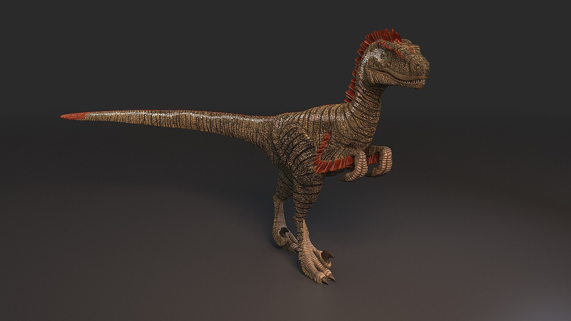 3d model feathered dinosaur https://p.turbosquid.com/ts-thumb/02/M0A0xw/x5qOReME/velociraptor_001/jpg/1480620905/1920x1080/fit_q87/17a6e4af17a4d7fa8c9e0c1e3e60da1f4c4b667b/velociraptor_001.jpg