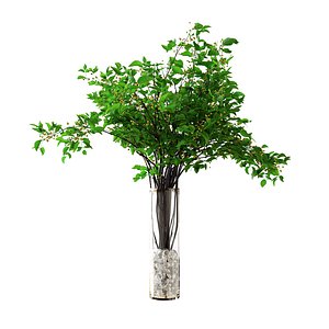 green branches in glass vaze