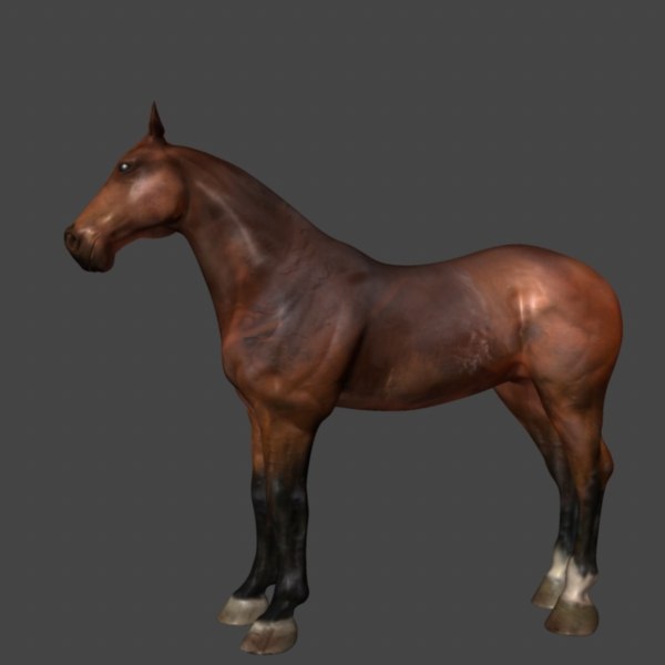horse3.jpg