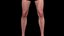 Realistic Male Body Perfect Base Shape