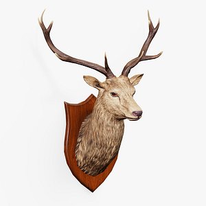 Trophy Deer Stag