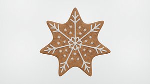 Gingerbread Christmas Cookie 08