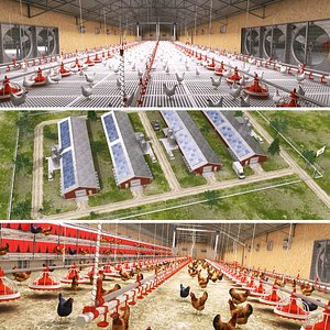 Big Chicken Farm Scane