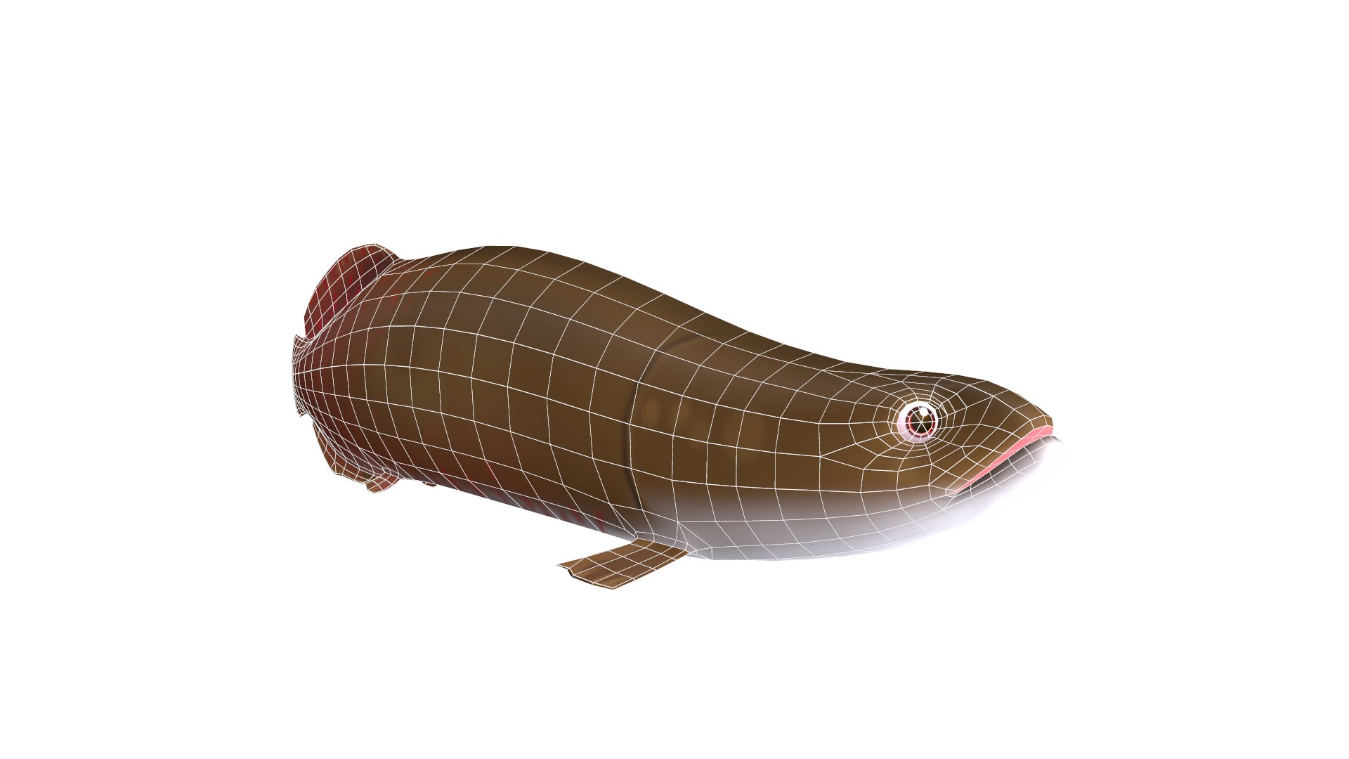 3D Pirarucu Fish Toon Animation - TurboSquid 1586299