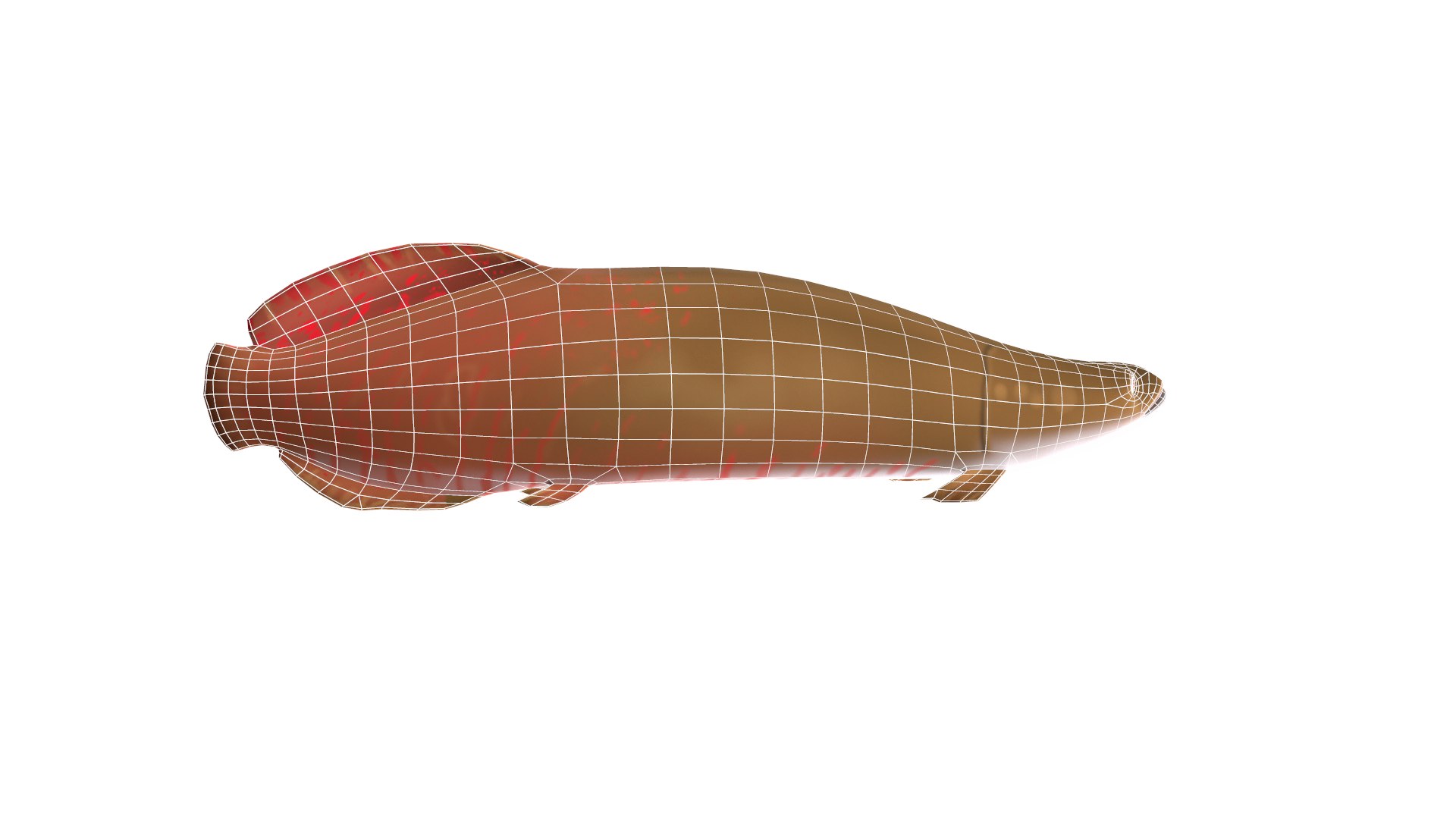 3D pirarucu fish toon animation https://p.turbosquid.com/ts-thumb/03/GY27Kr/LARX3RVY/screenshot021/png/1593415104/1920x1080/fit_q87/c68cf962a609286ce865e4a07aacd16780c9367b/screenshot021.jpg