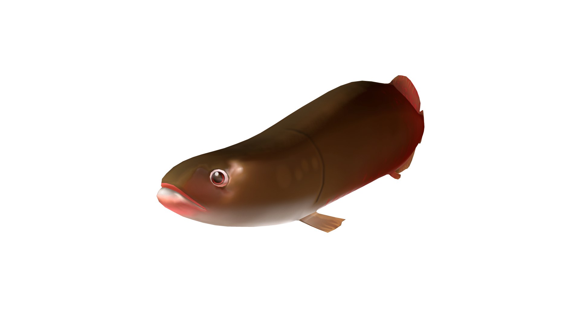 3D Pirarucu Fish Toon Animation - TurboSquid 1586299