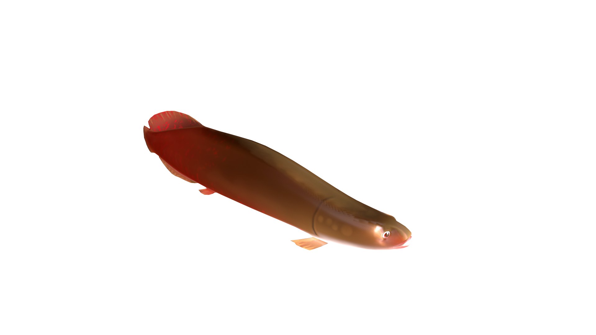 3D pirarucu fish toon animation https://p.turbosquid.com/ts-thumb/03/GY27Kr/dTBlPjbb/screenshot016/png/1593415104/1920x1080/fit_q87/cacbc547e77f0514c76078ec17a025d6d2010d30/screenshot016.jpg