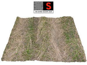 3D model farmland ground 16k hd