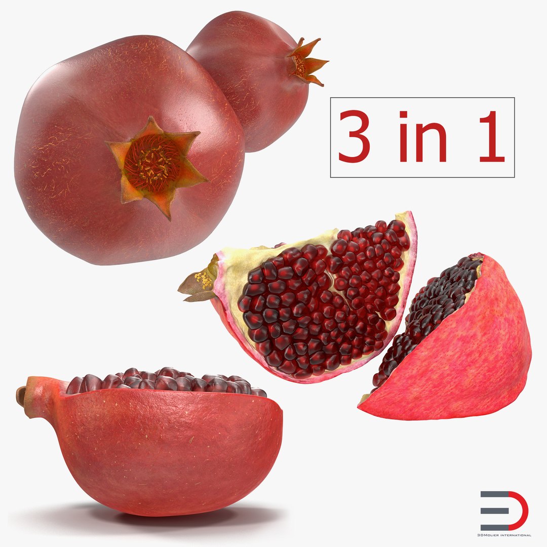 Pomegranate Collection 3D model preview