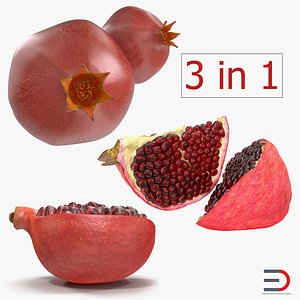 3D pomegranate set slice model