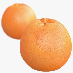 3d model of grapefruit scanned polys
