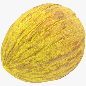 Melon V1