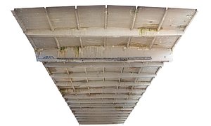 Abandoned Factory Ceiling
