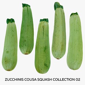 3D Zucchinis Cousa Squash Collection 02 - 5 models RAW Scans