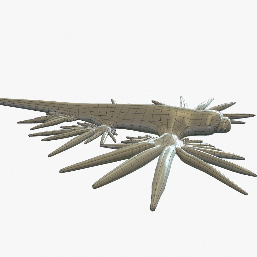 3d model glaucus atlanticus https://p.turbosquid.com/ts-thumb/03/iznBJO/3OqGk4f0/screenshot008/jpg/1416762442/1920x1080/fit_q87/ca4f6b441df296ea9cc92c9c673a2439f3ca45c0/screenshot008.jpg
