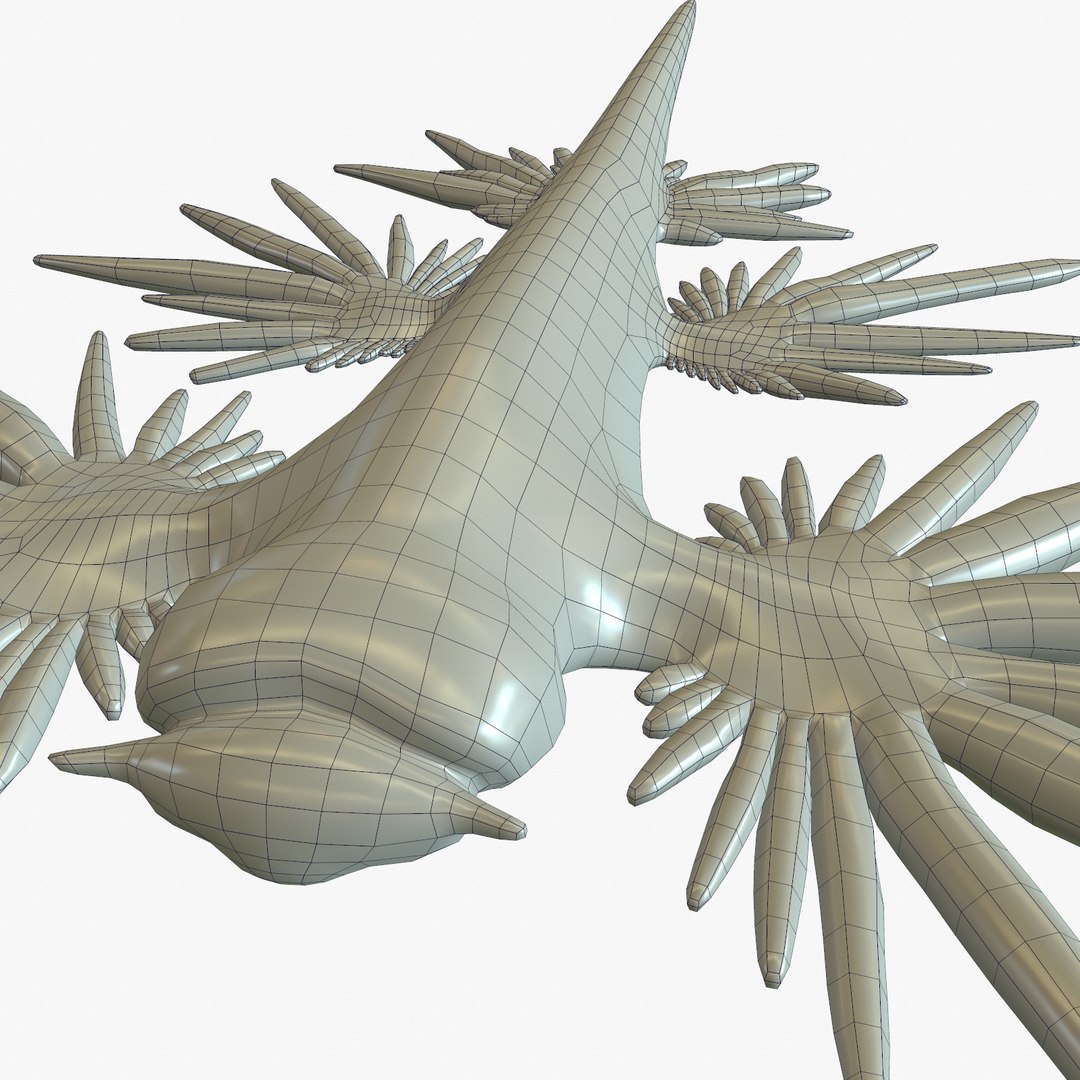3d model glaucus atlanticus https://p.turbosquid.com/ts-thumb/03/iznBJO/Lm4MGp69/screenshot005/jpg/1416762442/1920x1080/fit_q87/43f20ddaf2e7dc415cf132dc2ad771bdf3a4cbb9/screenshot005.jpg