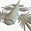 Glaucus atlanticus
