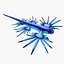 Glaucus atlanticus