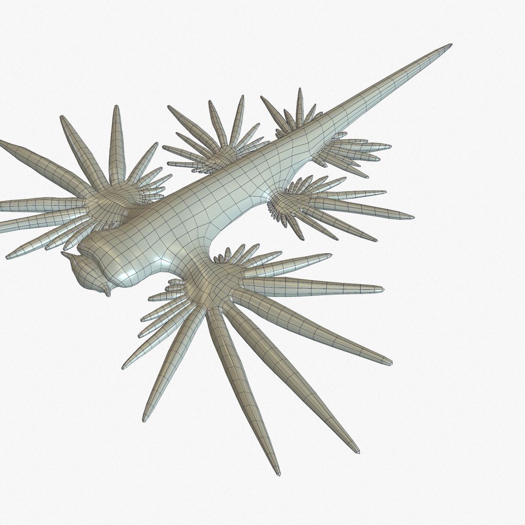 3d model glaucus atlanticus https://p.turbosquid.com/ts-thumb/03/iznBJO/SOCLE8R6/screenshot000/jpg/1416762442/1920x1080/fit_q87/c8248d86ef9588e88d48870e3029beb09b718af0/screenshot000.jpg