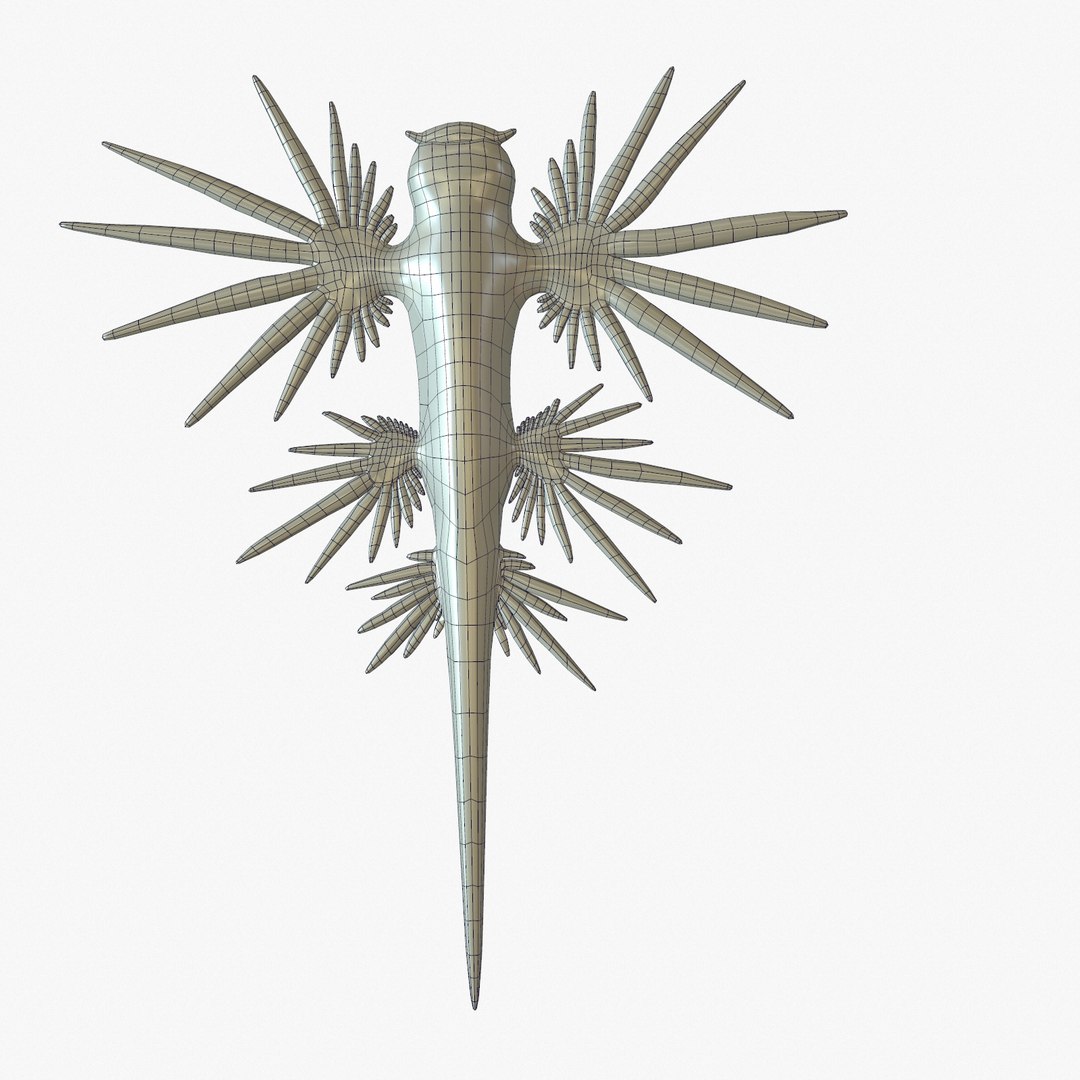 3d model glaucus atlanticus https://p.turbosquid.com/ts-thumb/03/iznBJO/UNwaC7yV/screenshot001/jpg/1416762442/1920x1080/fit_q87/cc089afa7bb24af6dc66d906bfed4f153b34ce37/screenshot001.jpg