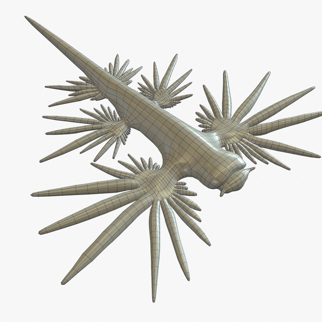 3d model glaucus atlanticus https://p.turbosquid.com/ts-thumb/03/iznBJO/ny7iNV1k/screenshot002/jpg/1416762442/1920x1080/fit_q87/740f095a6d83de29ea427f1743967a9f501879f9/screenshot002.jpg