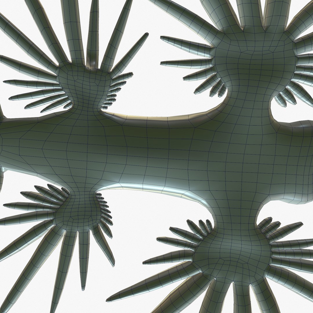 3d model glaucus atlanticus https://p.turbosquid.com/ts-thumb/03/iznBJO/t2RCgrme/screenshot004/jpg/1416762442/1920x1080/fit_q87/dc917fcc344bacb86ef3d916c5d6600f18d822bd/screenshot004.jpg
